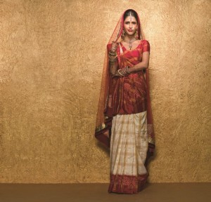 Panetar/Gharchola Saree