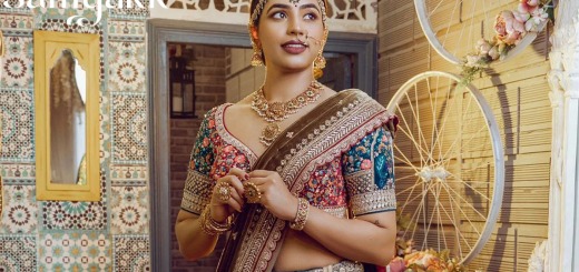 Lehenga designs, Lehenga