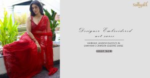 Vaibhavi Jagdish in Net Saree