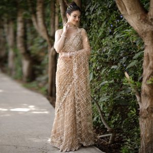 Beige Designer Saree