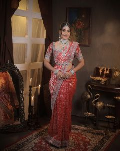 Red Banarasi Silk Saree